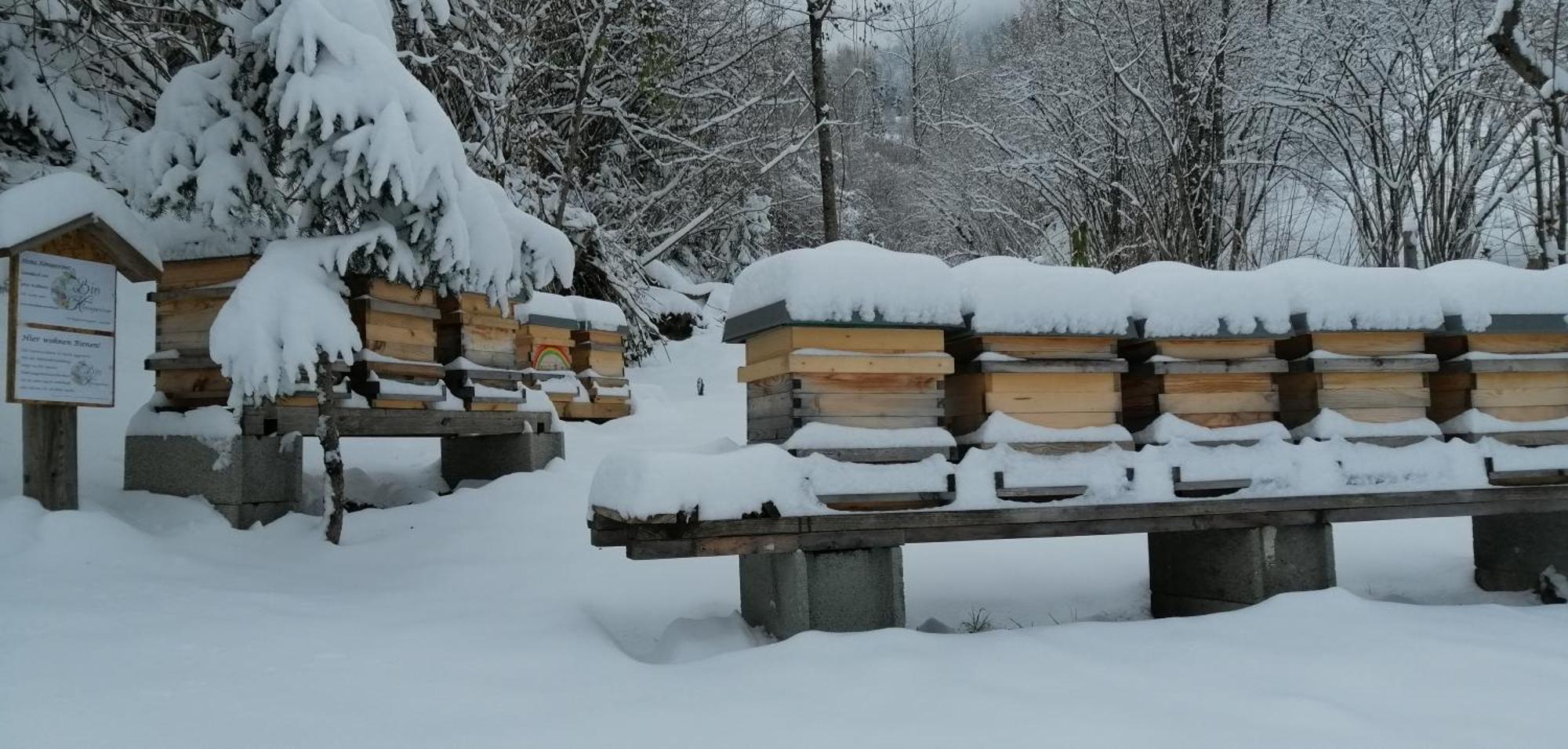 Landhaus Koenigsreiner Unterkolbnitz Esterno foto