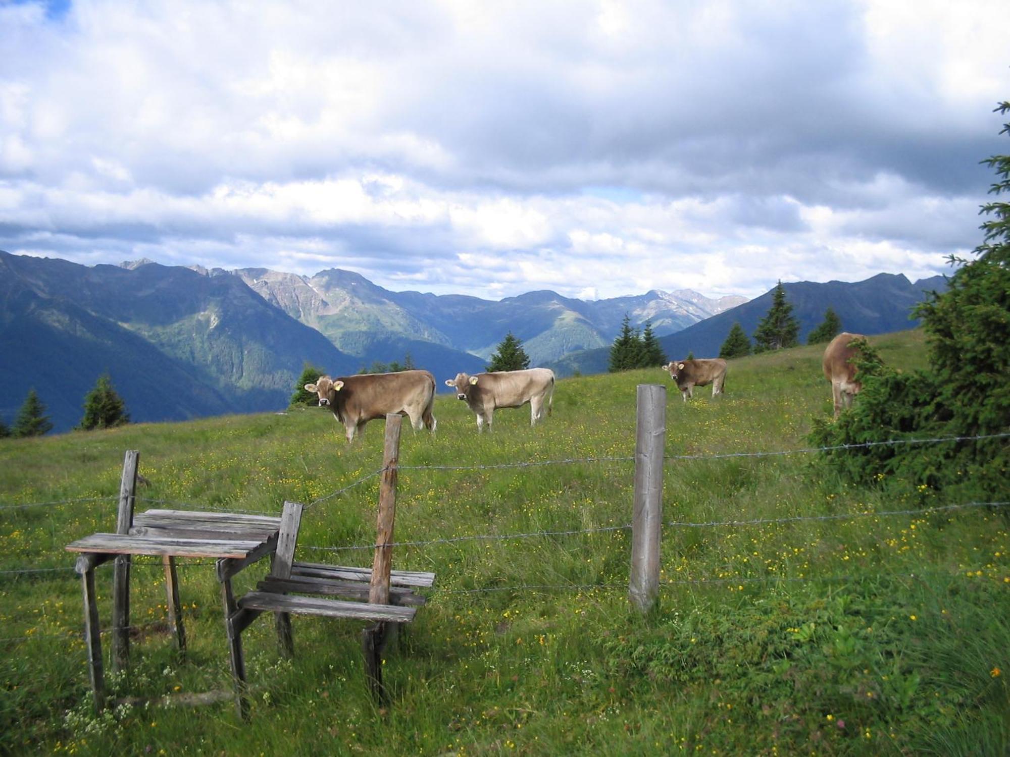 Landhaus Koenigsreiner Unterkolbnitz Esterno foto